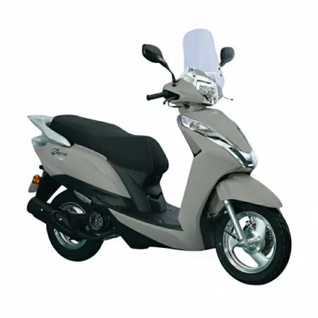 Scooter Dayun Cylindrée 124cc DY124T Gris