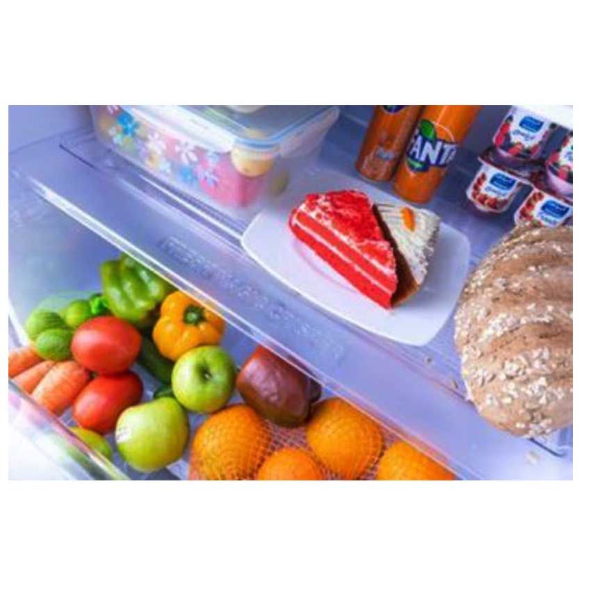 Réfrigérateur FRESH 400 Litres | NoFrost / Sans givre - FNT.B470 KT - Inox 
