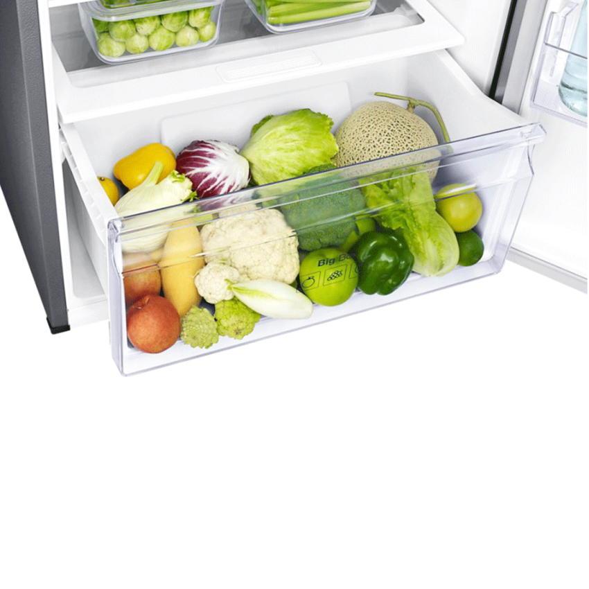 Réfrigérateur SAMSUNG Twin Cooling Plus 384 Litres | RT50K5152SP - Gris 